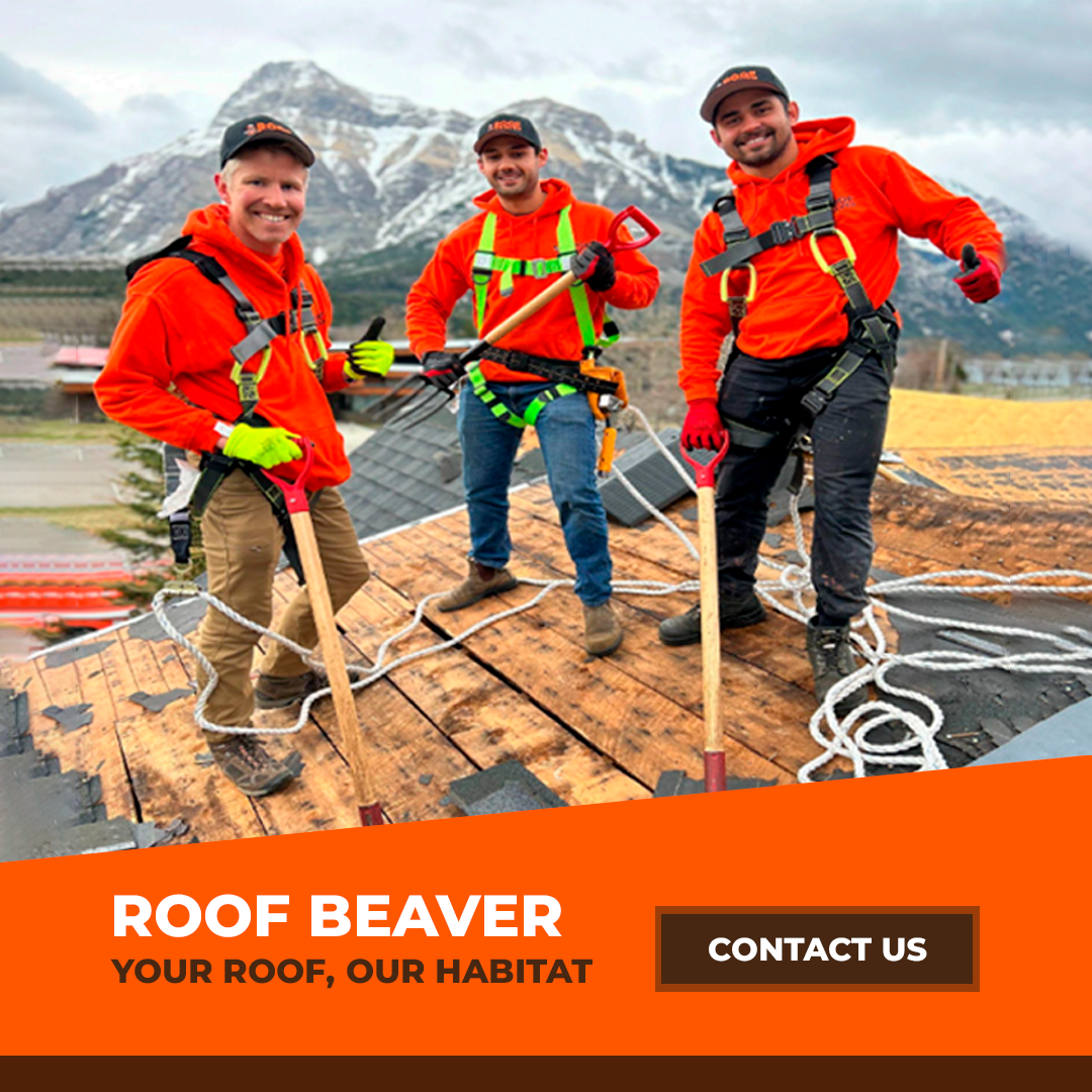 roof-beaver-home-mobile